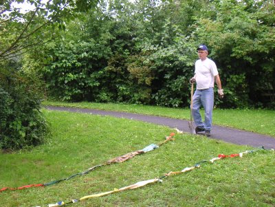Die Wiese vor Beginn der Arbeiten.